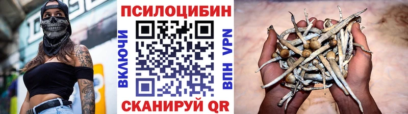 цена наркотик  Николаевск  Галлюциногенные грибы прущие грибы 